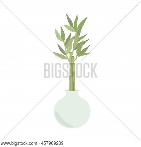 Bamboo Homeplant In A Vase, Simple Flat Style Vector Illustration, Traditional Japanese Plant, Orien