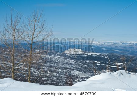 Vinter visning