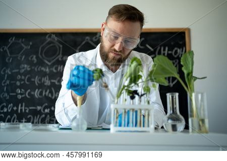 Biochemist In Latex Gloves Touching Test Tube With Small Plant While Doing Experiments In Biotechnol
