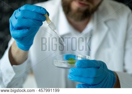 Close-up Of A Male Researcher Conducting Experiments In A Modern Laboratory With Plant And Dropper,