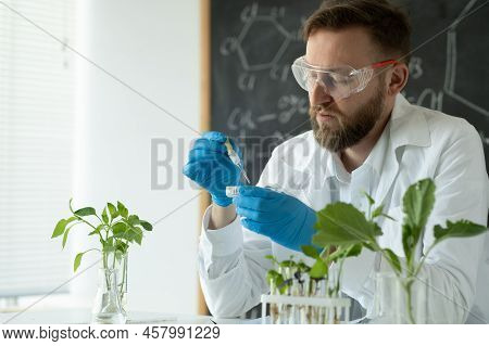 Scientist Biochemist In Laboratory Using Dropper For Plant, Gmo Grown In A Petri Dish. Conducts Expe