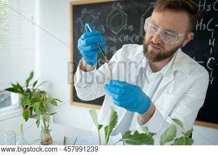 Serious Male Genetic Scientist In White Coat Innovative Research In Plant Laboratory, Developing Gmo