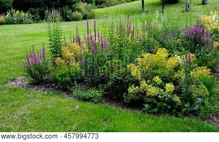 Beds Of Newly Planted Flowers Are Planted And Mulched With Bark. Bluebells And Cypresses, Paths Stre