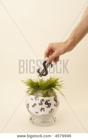 gute Investition