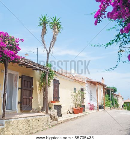Flowers By The House