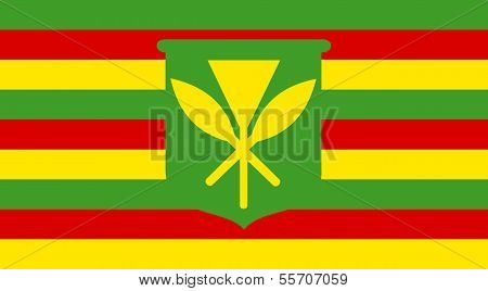 Kanaka Maoli Flag