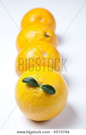 นิ่งของส้ม