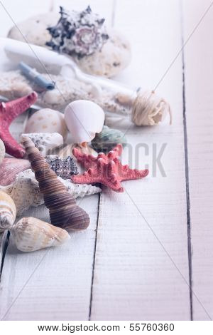 Seashells On Wooden Background