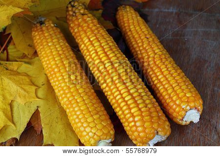 corn