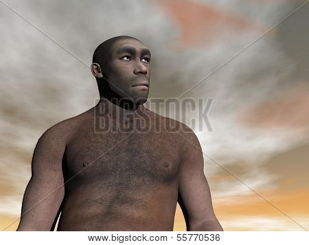 Male homo erectus - 3D render