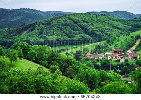 Beautiful Green Hills In Little Village