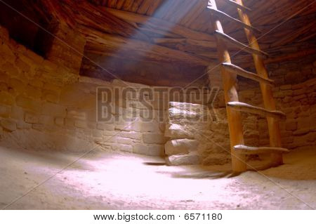 Kiva Spruce Tree House