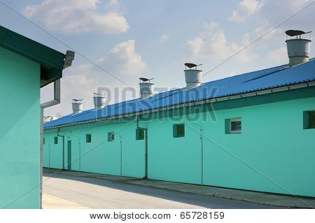 New modern pig farm exterior