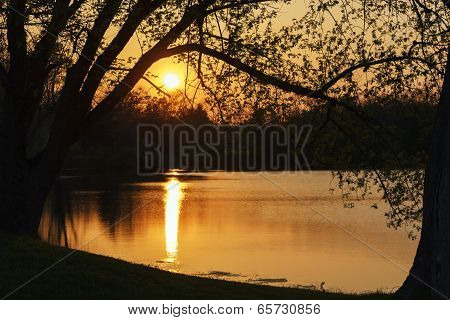 Sunset On The Pond