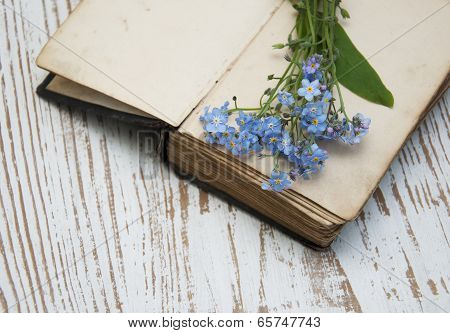 Forget-me-nots Flowers And Old Book