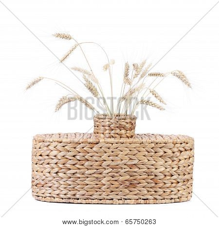 ear of wheat in jar