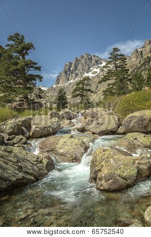 Restonica Valley In Corsica