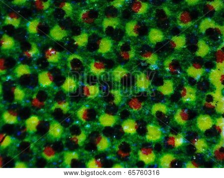Halftone Micrograph