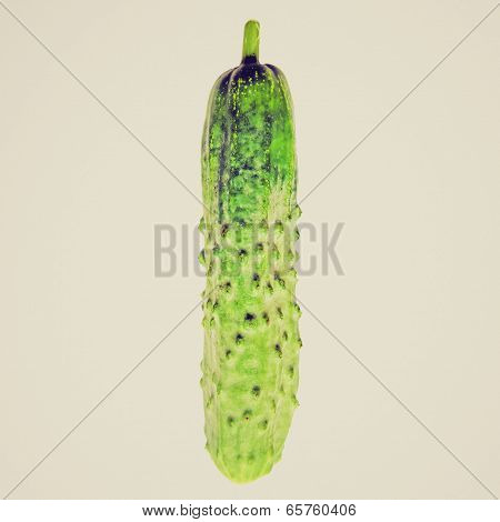 Retro Look Cucumber Isolated