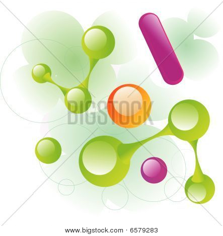 分子载体