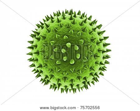 pollen illustration