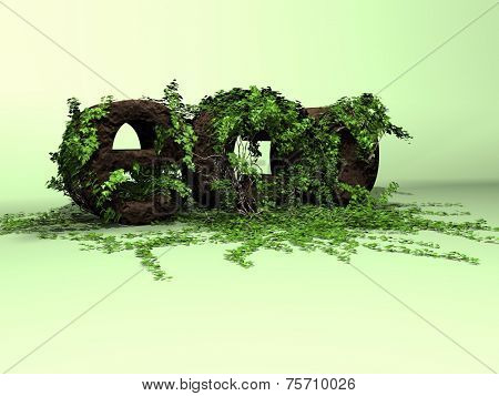 ivy eco