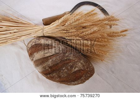 bunch of mown wheat ears with vintage handmade reaper hook sickle and rye dark french fresh bread loaf on white linen tablecloth high resolution hidef