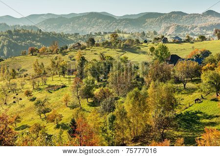 Countryside landscape in a romanian villlage