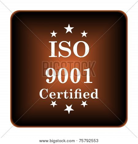 Iso9001 Icon