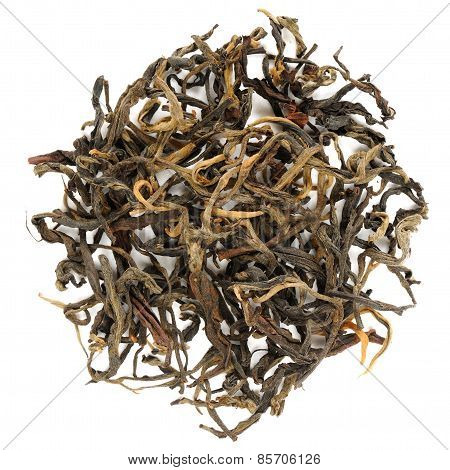 Mensong Yunnan Red Tea Crop From Menghai Area