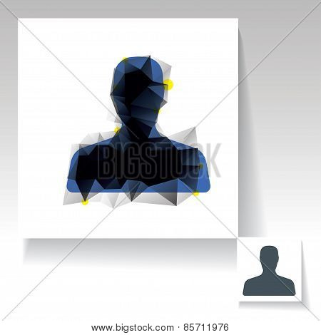 Triangulated avatar