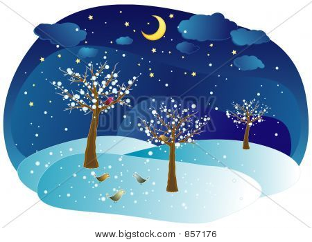 Winter trees