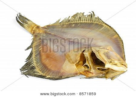 Salted Turbot Flatfish