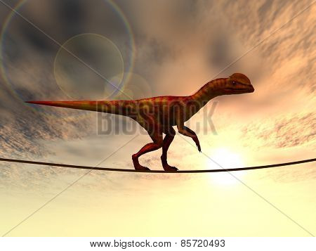 Concept or conceptual abstract business metaphor as wild heavy dinosaurus balancing on rope over sunset sky background