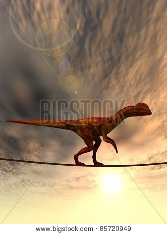 Concept or conceptual abstract business metaphor as wild heavy dinosaurus balancing on rope over sunset sky background