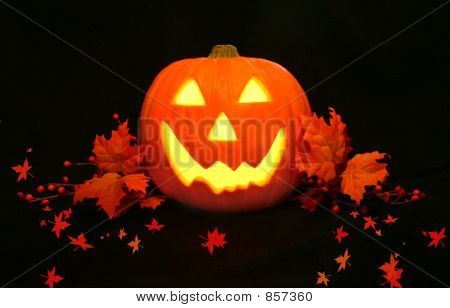 Kielichowiec uśmiechający się