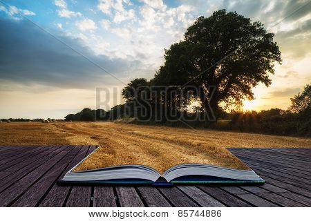 Rural Landscape Image Of Summer Sunset Over Field Of Hay Bales Conceptual Book Image