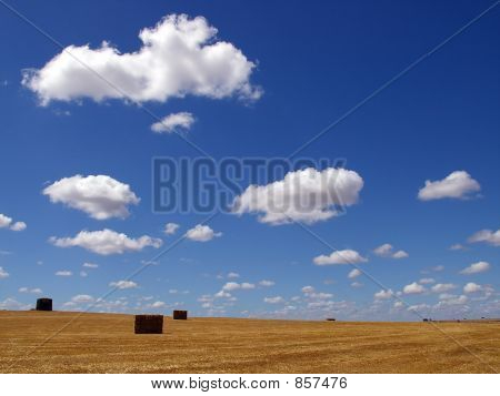Farm
