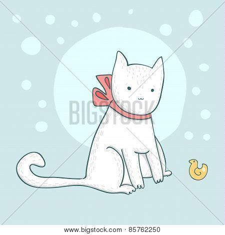Nice white cat on light blue