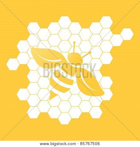 Vector illustration of bee on orange background