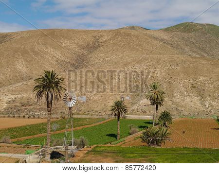 Agriculture in the Buen Paso valley
