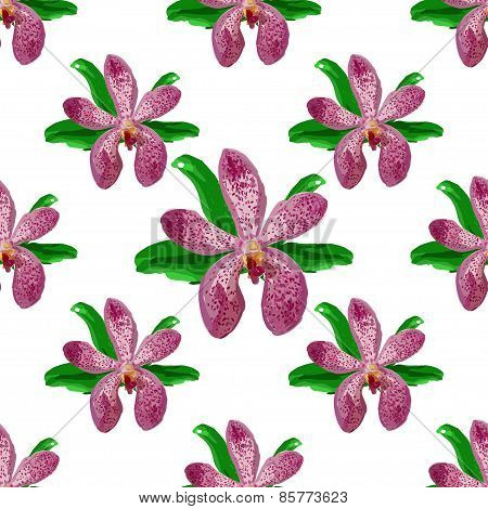 Floral orchid  flower pattern vector.
