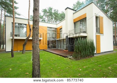 Modern Detached House