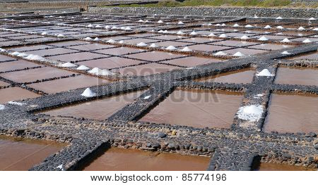 Salina del Carmen salt evaporation ponds