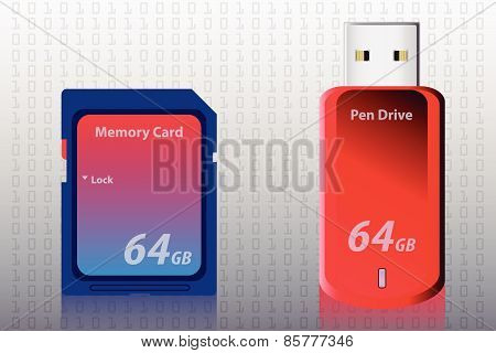 Memory Card and Pen Drive