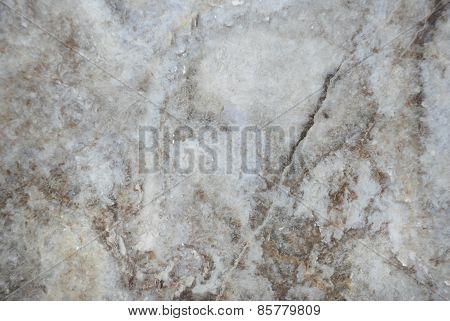 Grey mable