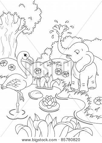 animals coloring page