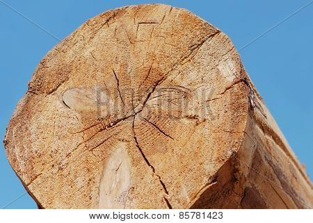 Timber