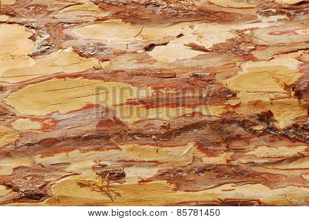 Timber