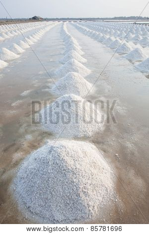 Vertical Form Of Heap Of Sea Salt In Original Salt Produce Farm Make From Natural Ocean Salty Water